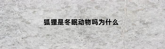 狐狸是冬眠动物吗为什么(狐狸是冬眠动物吗为什么呢)