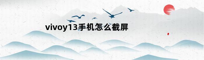 vivoy13手机怎么截屏(vivoy13怎么截图)