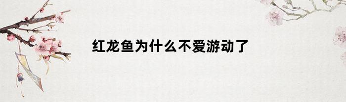 红龙鱼为什么不爱游动了(红龙鱼为什么不游停在上面)