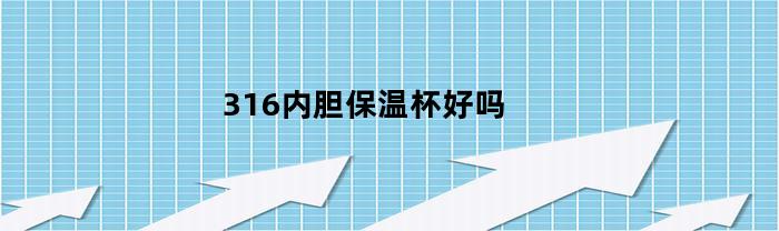 316内胆保温杯好吗(316内胆保温杯好吗有毒吗)