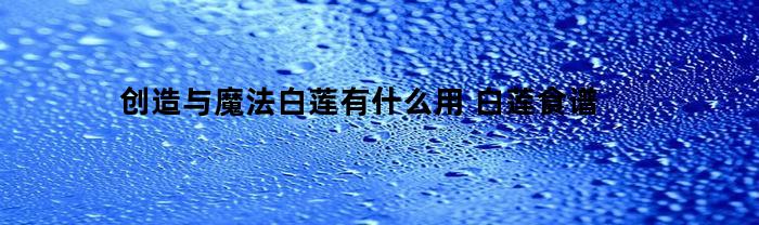 创造与魔法白莲有什么用(创造与魔法里面白莲有什么用)