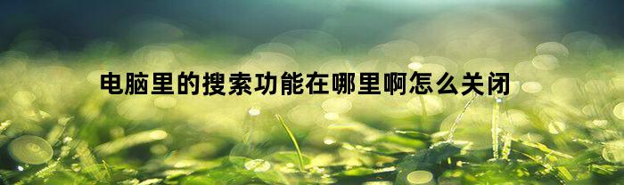 电脑里的搜索功能在哪里啊怎么关闭(如何关闭电脑搜索)