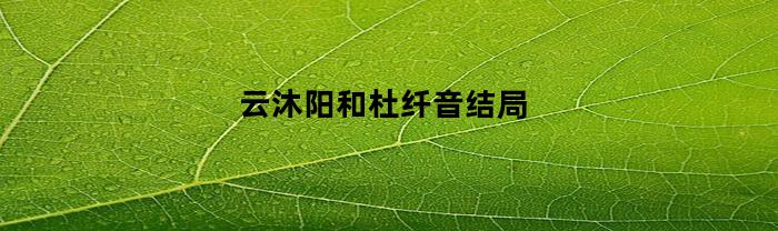 云沐阳和杜纤音结局(杜纤音给云沐阳吃的什么药)