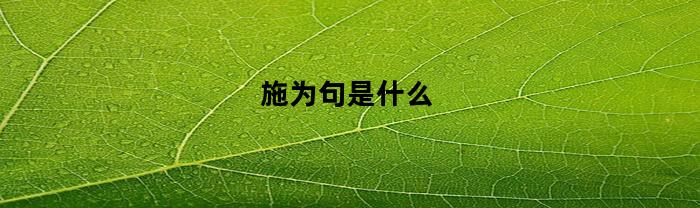 施为句是什么(施为句是什么意思)