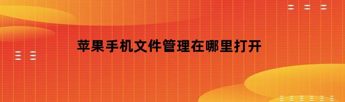 苹果手机文件管理在哪里打开(iphone文件管理在哪)