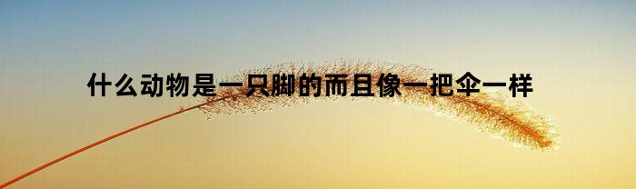 什么动物是一只脚的而且像一把伞一样(什么东西一只脚像一把伞)