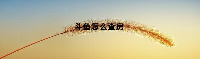 斗鱼怎么查房(斗鱼怎么查房间号)