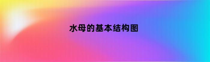 水母的基本结构图(水母的内部结构图 解剖图)
