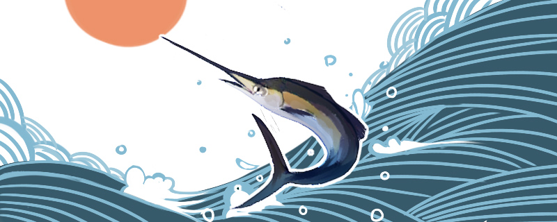 剑鱼有什么特点长嘴有什么作用(剑鱼的长嘴有什么作用)