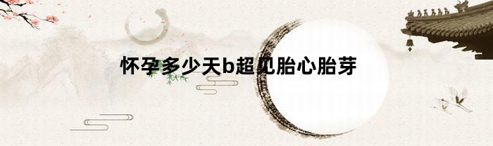 怀孕多少天b超见胎心胎芽(孕几天b超能看见胎芽胎心胎芽)