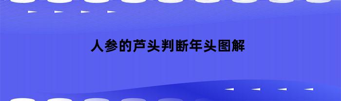 人参的芦头判断年头图解(20年的林下参大概多少钱一颗)