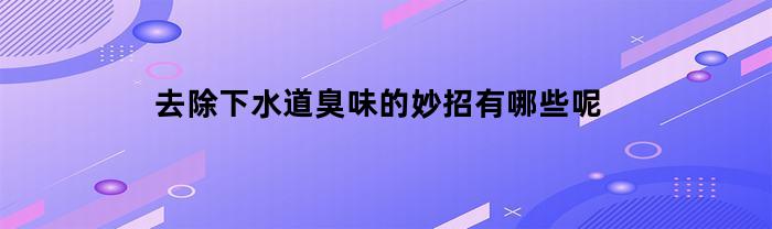 去除下水道臭味的妙招有哪些呢(去除下水道臭味的妙招有哪些呢视频)