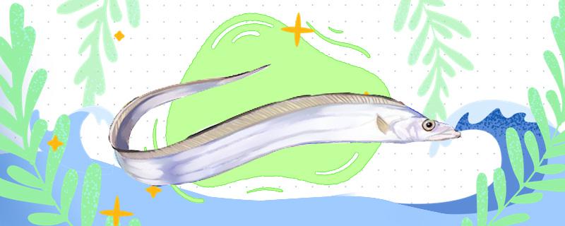 人工养殖带鱼水深需要多少米用什么水合适(人工养殖带鱼水深需要多少米用什么水合适呢)