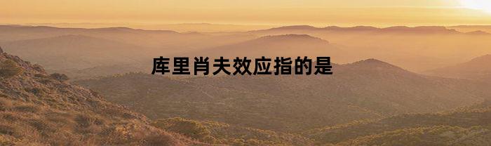 库里肖夫效应指的是(库里肖夫效应例子)