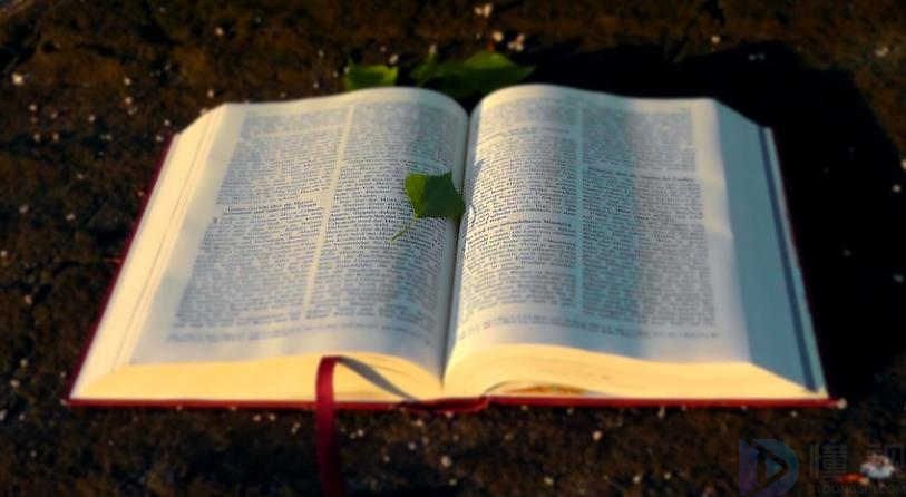 特别逗比的文案