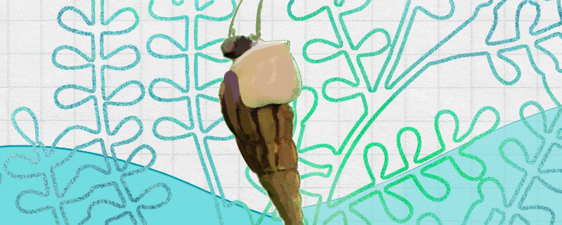 马来螺吃鱼屎吗能清理鱼缸吗(马来螺吃鱼卵吗)