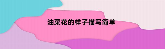 油菜花的样子描写简单(油菜花的样子描写简单一点)