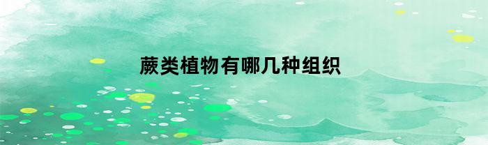 蕨类植物有哪几种组织(蕨类植物具有什么组织和什么组织)