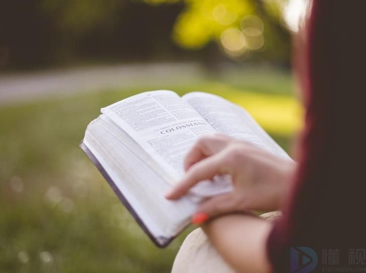 描写梅花的好句好段100字左右