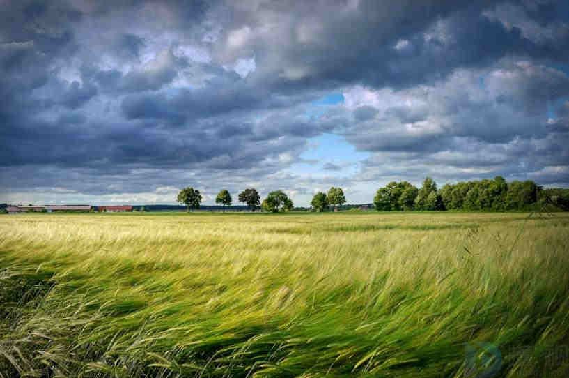 描写风的文艺句子