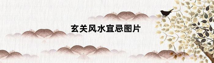 玄关风水宜忌图片(玄关风水宜忌图片欣赏)