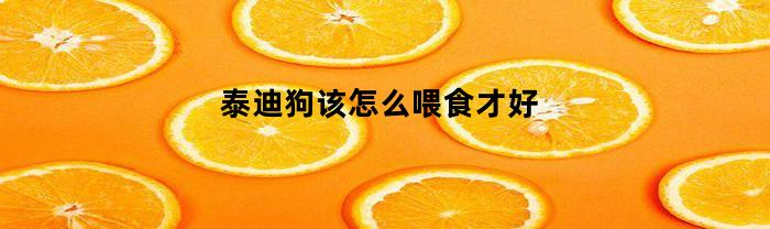 泰迪狗该怎么喂食才好(泰迪狗该怎么喂食才好呢)
