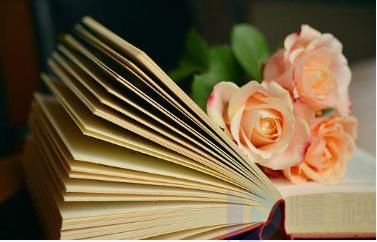 儿童图书的种类有哪些(儿童图书的种类有哪些类型)