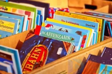 阅读儿童文学从几岁开始(儿童文学阅读需要哪些步骤和方法)