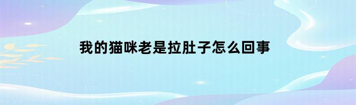 我的猫咪老是拉肚子怎么回事(猫咪总是拉肚子了乱拉怎么办)