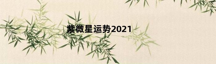 紫微星运势2023(紫薇运势2021年运势)