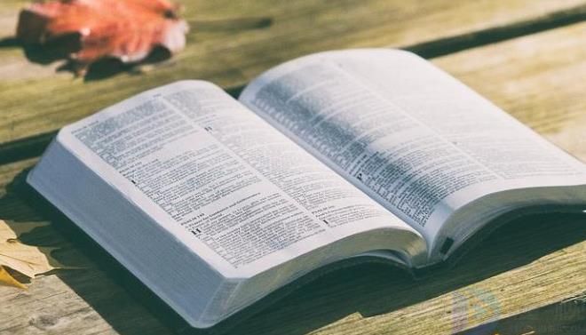 幼儿园元旦快乐简短祝福语图片