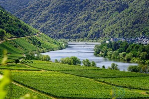 赞美田园生活经典句子(夸赞田园生活的人有品味人)