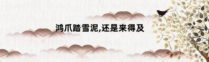 鸿爪踏雪泥,还是来得及(鸿爪踏雪泥 还是来的及 对重遇的人说 原来你还在这里)