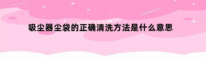 吸尘器尘袋的正确清洗方法是什么意思(吸尘器尘袋怎样安装示意图)