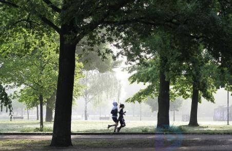 稻盛和夫给年轻人的忠告(稻盛和夫给年轻人的忠告读后感)