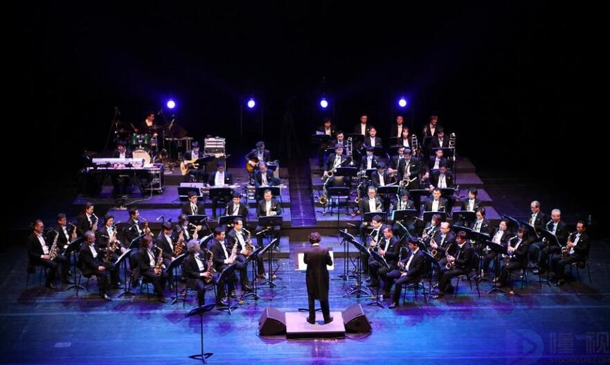 萨它尔是什么乐器(萨尔萨音乐)