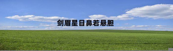 剑眉星目鼻若悬胆(剑眉星目鼻若悬胆新疆男孩)
