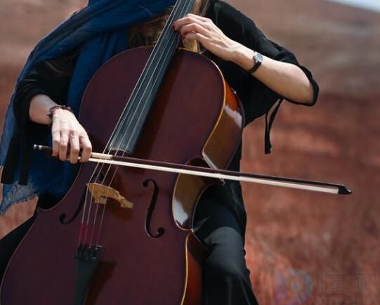 大提琴是什么乐器(小提琴的构造)