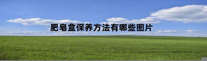 肥皂盒保养方法有哪些图片(肥皂盒说明书)