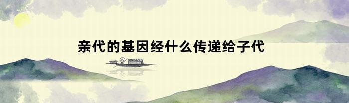 亲代的基因经什么传递给子代(亲代的基因是怎样传递给子代)