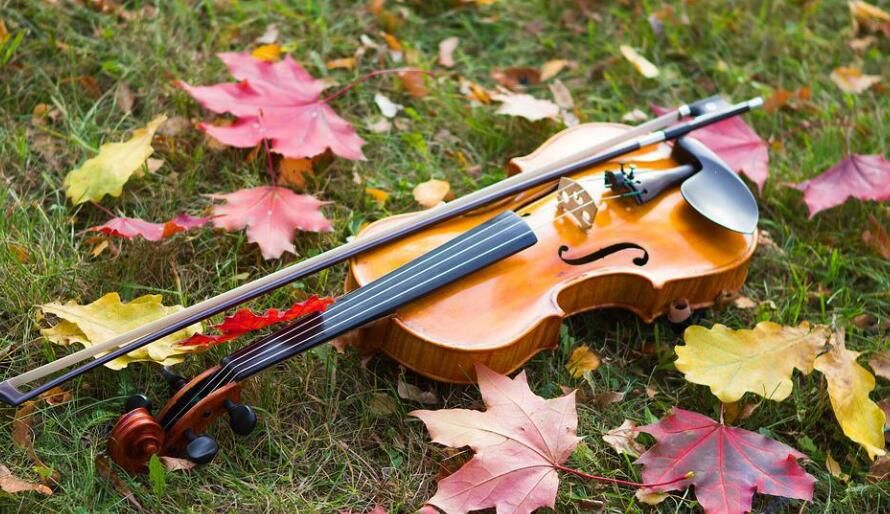 乐器之后是什么(被称为乐器之后的乐器是)