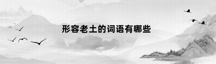 形容老土的词语有哪些(形容老土的词语有哪些呢)