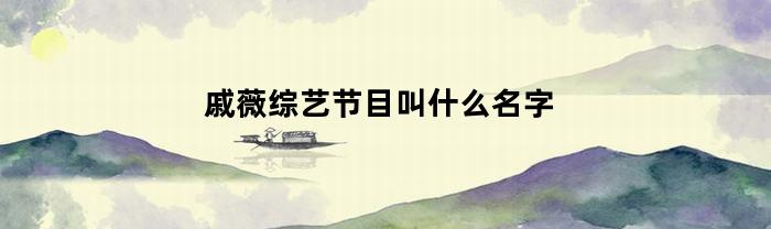 戚薇综艺节目叫什么名字(戚薇综艺节目叫什么名字来着)