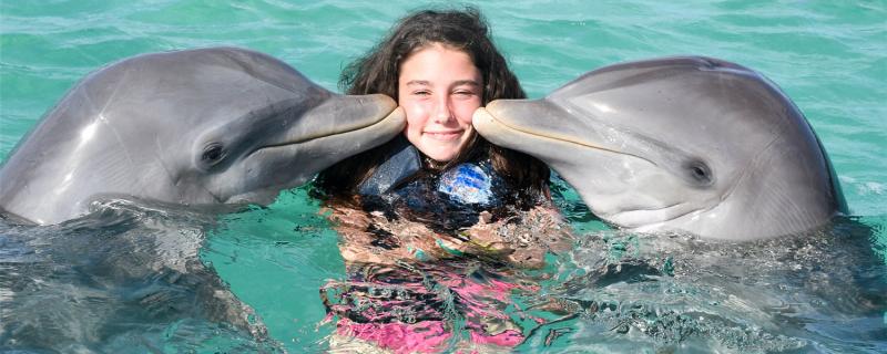 海豚救人的真正原因海豚传递信息的方式(你听说过海豚救人的故事吗)