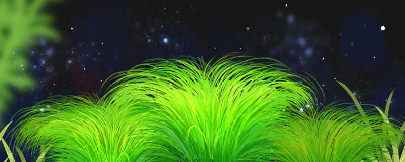 草缸要不要清鱼粪草缸适合养什么鱼(草缸适合养什么鱼和虾)