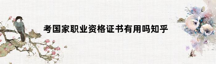 考国家职业资格证书有用吗知乎(考国家职业资格证书有用吗知乎文章)