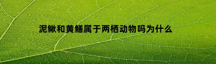 泥鳅和黄鳝属于两栖动物吗为什么(泥鳅和黄鳝属于两栖动物吗为什么不一样)