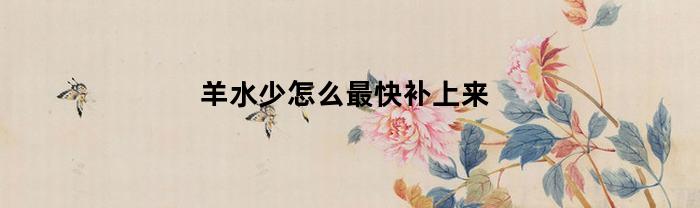 羊水少怎么最快补上来(羊水少怎么最快补上来喝米汤)