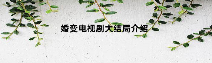 婚变电视剧大结局介绍(婚变电视剧分集介绍)