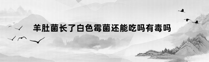 羊肚菌长了白色霉菌还能吃吗有毒吗(羊肚菌白色霉菌怎么办)